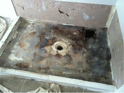 Shower Leak