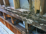 Structural Termite Damage