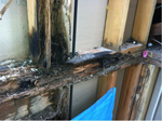 Termite Damage